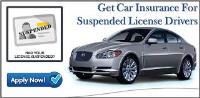 Car Insurance With Suspended License image 1
